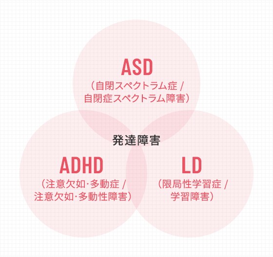 お子様の気になる行動について支援法を一緒に考えます 元特別支援学校教師・現放デイ管理者が教える支援法 イメージ1