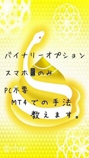 バイナリーオプションでの手法教えます MT4で設定するだけです。初心者でもできると思います。 イメージ1