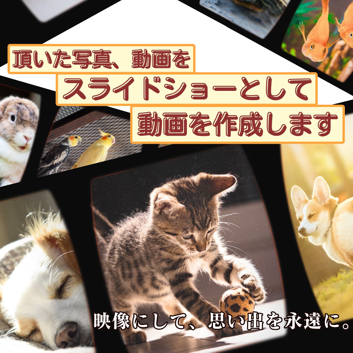 ワンちゃんへのオリジナルソング付き動画を作成します ペットロスへ悩んでいる方向けにあの子の動画を作成します イメージ2