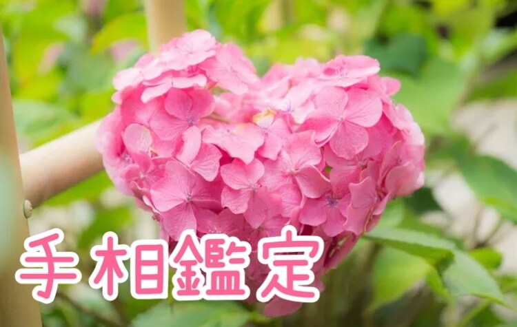 特別特価＊手相リーディングいたします あなた様のこれからの人生に少しでも参考になれば…！特別特価＊ イメージ1