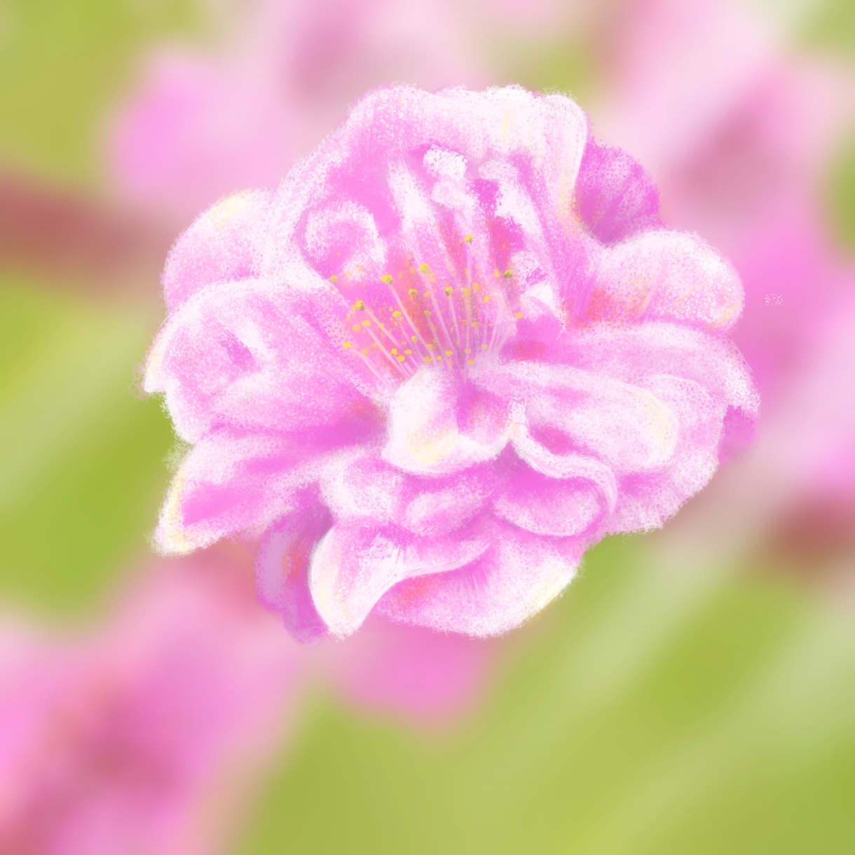 花や風景を描きます お客様のご希望に最大限答え、自分にとって最高傑作をお届け イメージ1