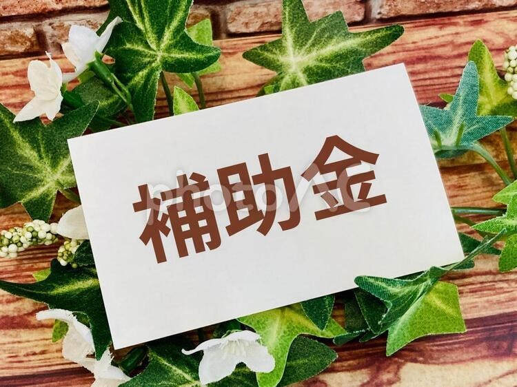プロが指南！採択される事業計画書作成お手伝いします 補助金コンサル歴5年。各補助金採択実績多数。 イメージ1