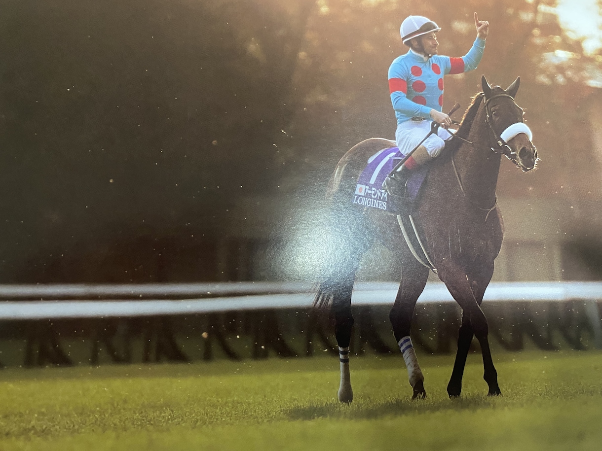 競馬予想・開催別買える馬教えます 厩舎・馬場・産駒・前走着順などから好走する馬を探します イメージ1