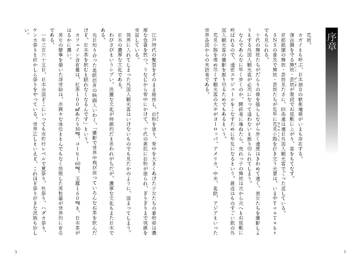 インデザインで書籍丸ごとデザインいたします 書籍カバー、帯、表紙、本文等、書籍の制作を承ります イメージ3
