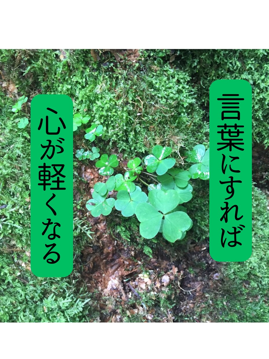 本当の答えはあなたの中に。心の整理、お手伝いします うまく言えなくても大丈夫。ありのままを受け止めます。 イメージ4