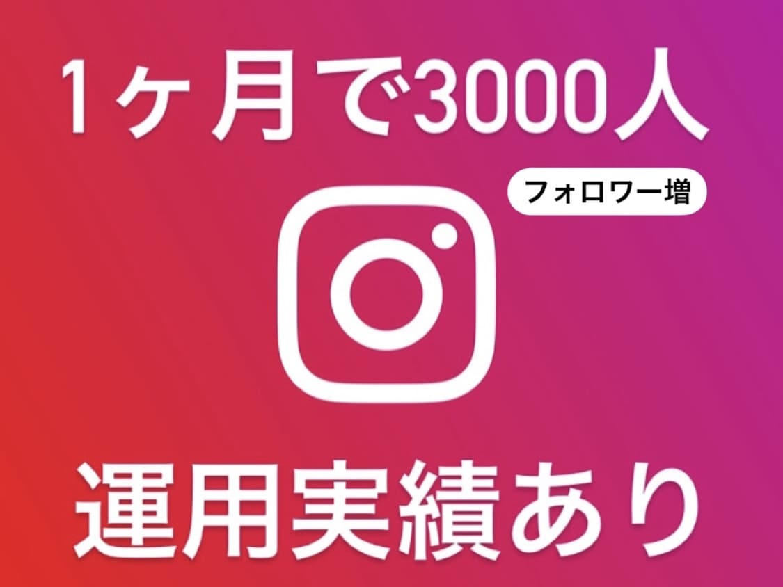 インフルエンサーマネが【インスタ】コンサル致します 90日でフォロワー1万人伸ばしたノウハウをお教えします！ イメージ1