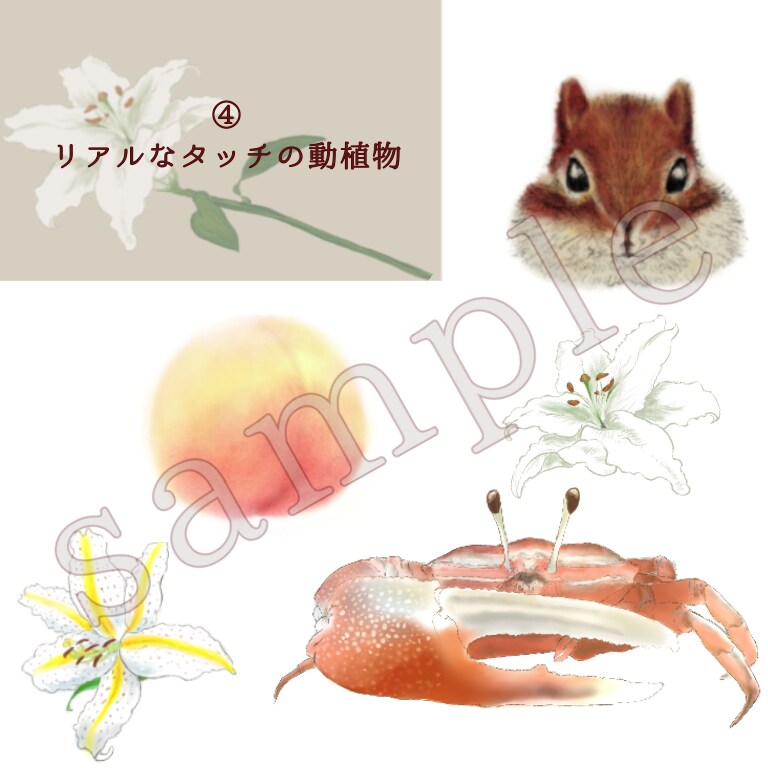 画風が選べて低コスト！イラスト関連のご依頼承ります リアルからゆるふわまで、幅広い画風からお選びいただけます イメージ5