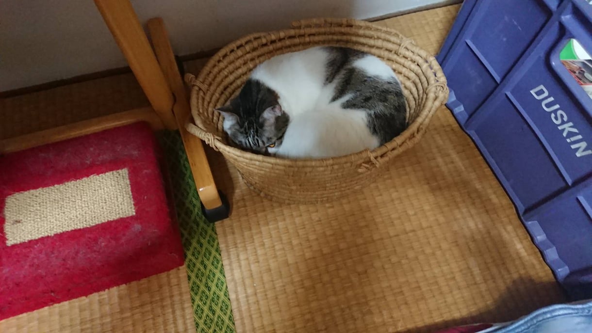 どんなお話でもお聞きします 些細なことから他の人には話せない事までなんでもお聞きします♪ イメージ3