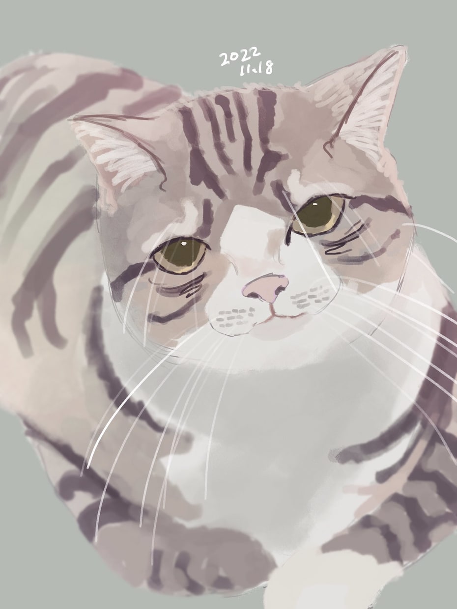 ペット、愛猫愛犬など描きます 厚塗りですが、リアル過ぎない可愛さの入ったタッチで。 イメージ1