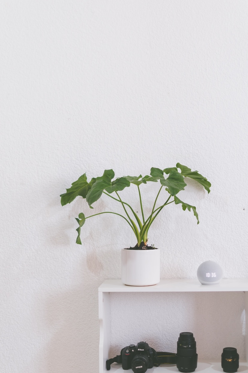 辛い心の内、聴かせて頂きます 吐き出すことで楽になることもあります イメージ1