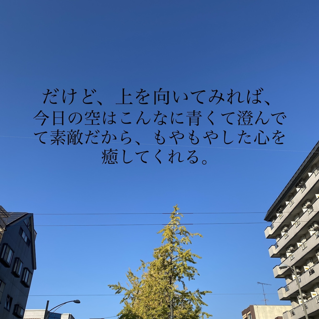 彼氏彼女と復縁したいあなたの気持ちに寄り添います メール送信の時間一緒に居ます。成功も失敗も一緒に共感します イメージ6