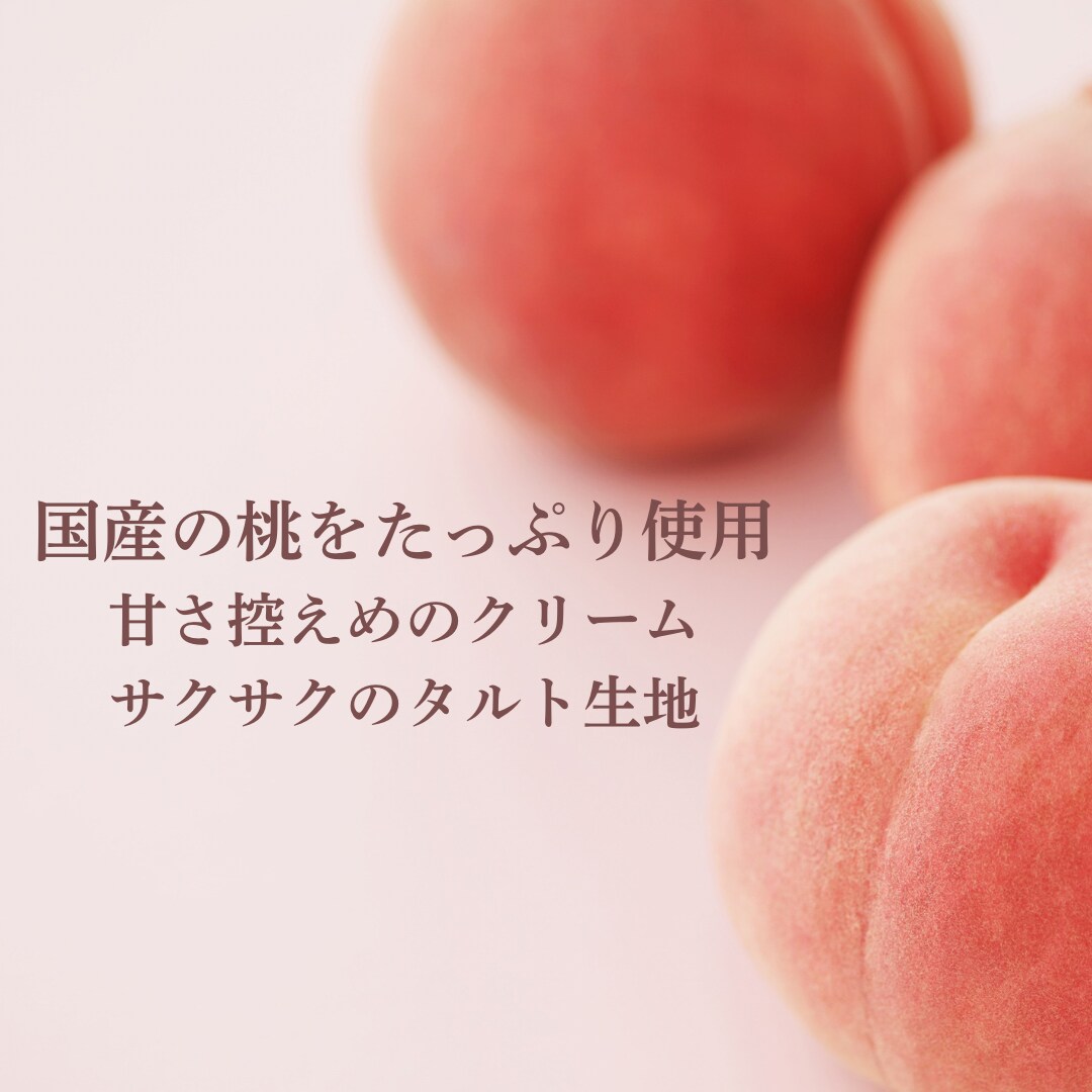 Instagram投稿・SNS画像を制作します Canvaを使って、見やすくおしゃれに制作します♪ イメージ3