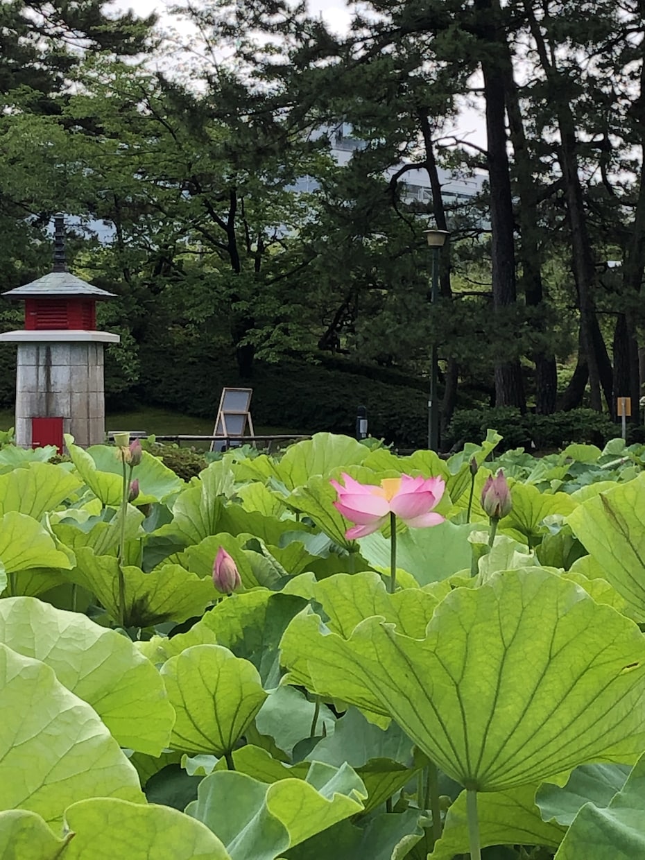 魅力アップ♡あなたをラブヒーリングでつつみ込みます じっくり30分間♡恋愛/成就/愛され/モテ/結婚/未来/悩み イメージ9