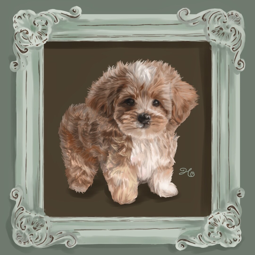 アイコンや記念イラストを制作します 写真や動画を元にリアルな動物の毛並みを表現するのが得意です イメージ9