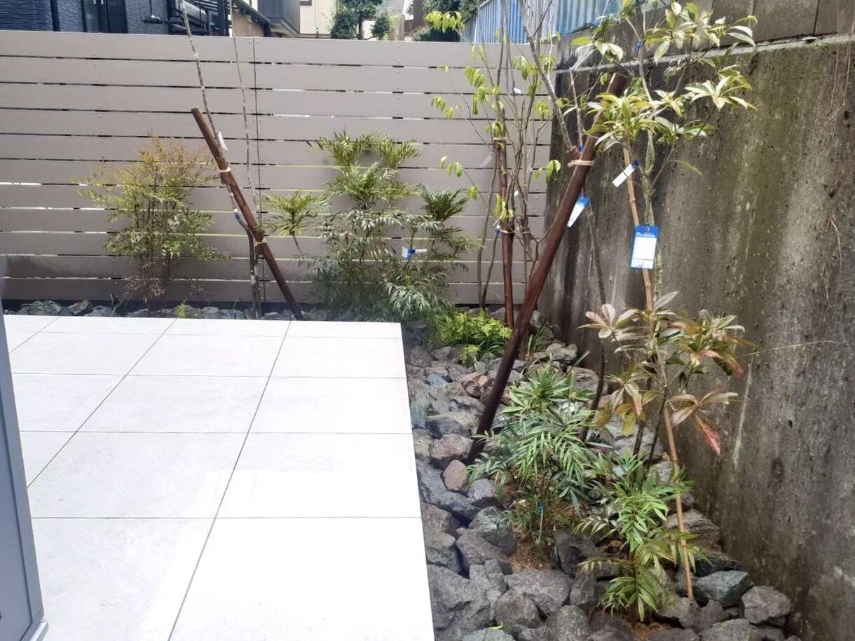 植栽デザインを提案します 空間をより彩るには植栽デザインが必要です❗️ イメージ6