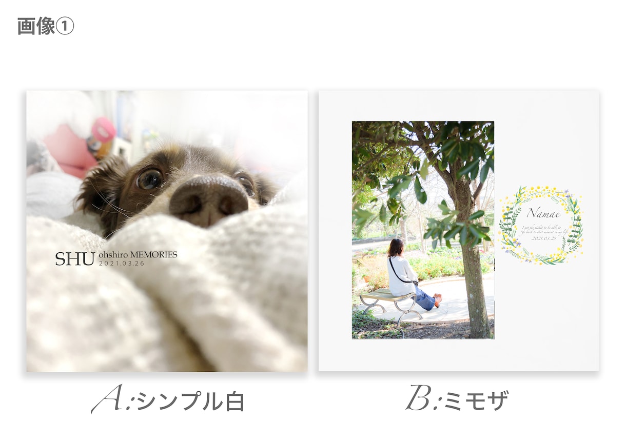 写真アルバム製作します お宮参り・バースデー・七五三・ペットなど…どんな写真でもOK イメージ2