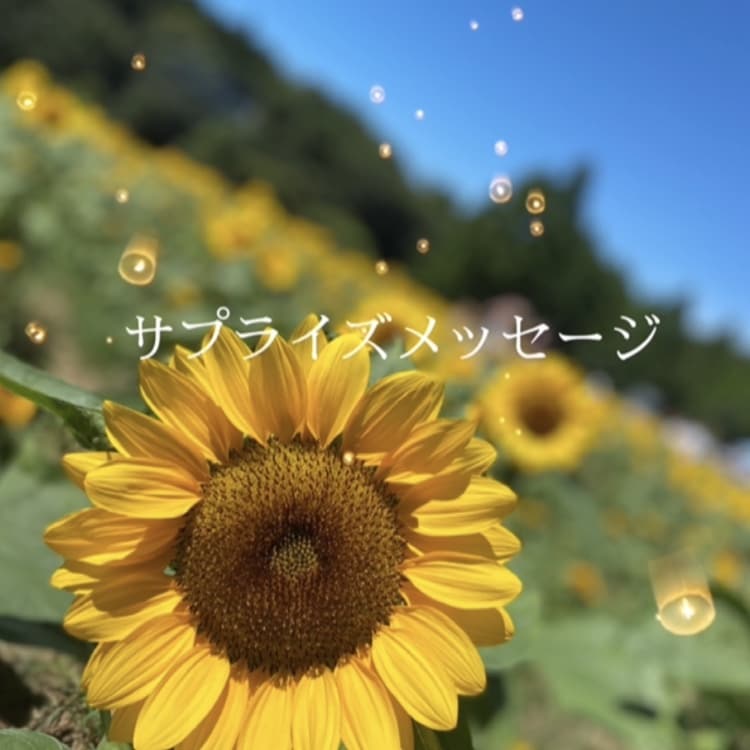 結婚式やお祝い事、卒団等ムービーを制作します 皆様へ、素敵な時間のお手伝いを・・ イメージ2