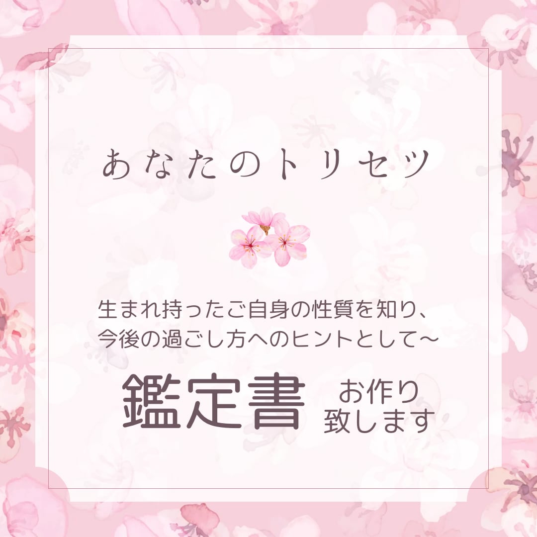 あなただけの鑑定書あなたのトリセツお作り致します 生まれ持ったご自身の性質を知り今後の過ごし方のヒントとして イメージ2