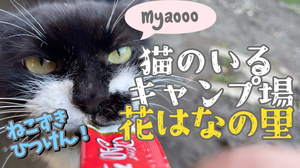 YouTuber担当者がサムネ・バナー作ります デザインから行えます、気軽にお問い合わせを！ イメージ4
