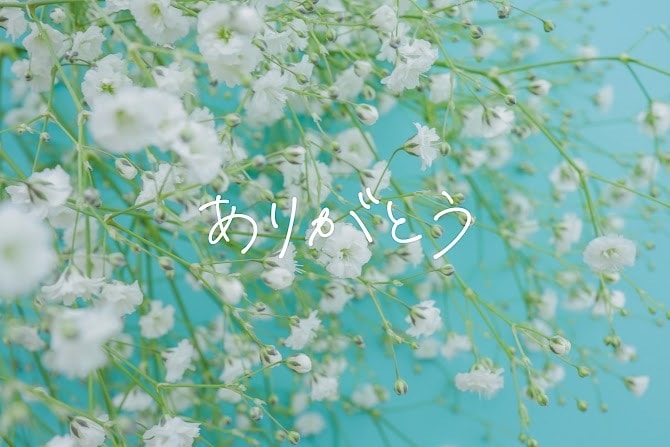 二次元恋愛占い☘️【チャット】☘️で鑑定します 時間内質問し放題❣️推し様の人数制限なし❣️本名不要❣️ イメージ7