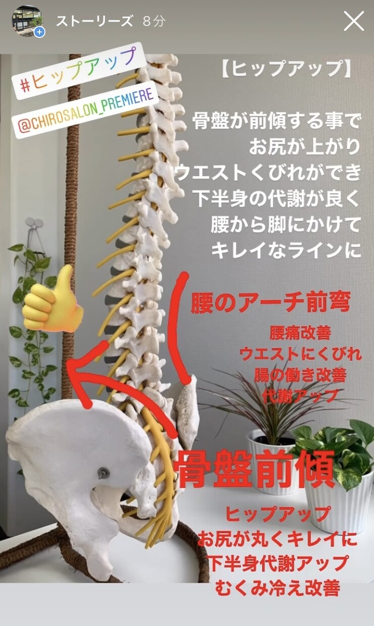 腰痛、肩こりなど症状改善の自己調整法を教えます 米国カイロ大学留学の知識と経験を元にアドバイス イメージ7