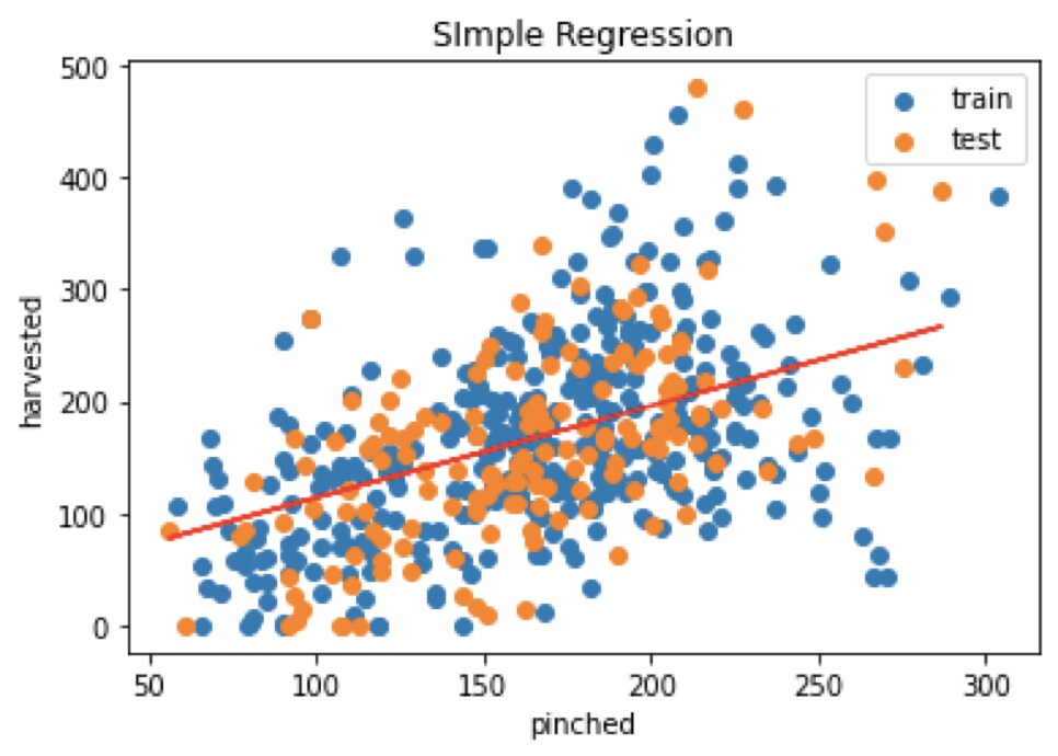 レポート作成の統計解析をお手伝いします : 主に学生さま向け。Excel・R・Python での解析 イメージ1