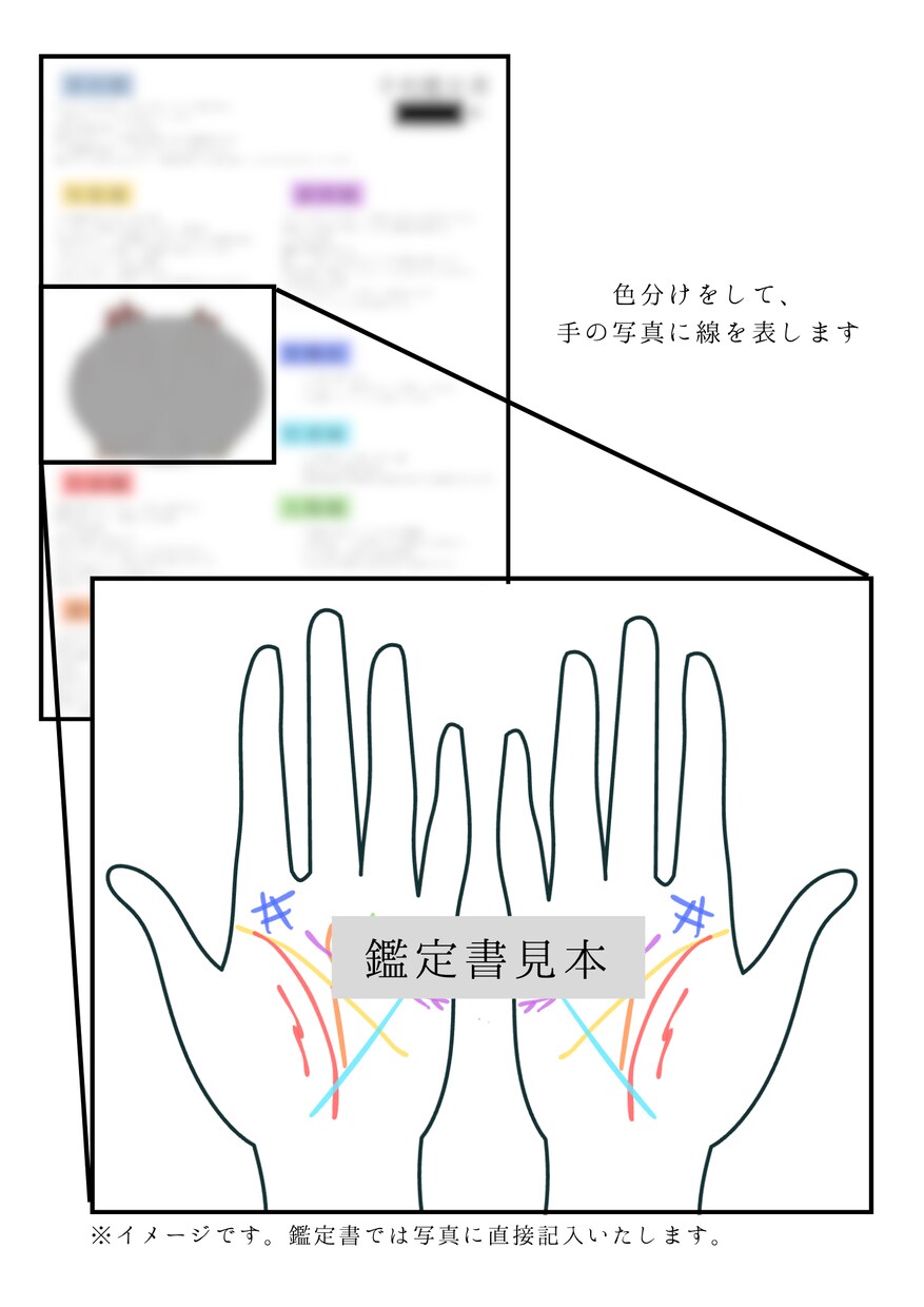 画像解説付き！手相の基本に基づく鑑定書を届けます 【事実を伝える】あなたの写真に直接線を書き込んで解説します イメージ3