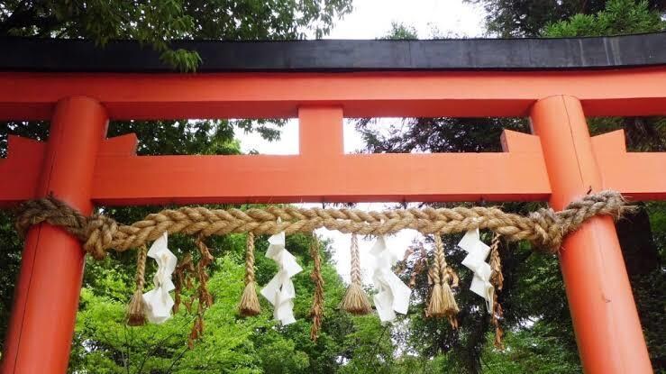 30分コース【人気No.1】本格霊視鑑定します 恋愛に特化した深い鑑定です。じっくり視てアドバイス致します。 イメージ1