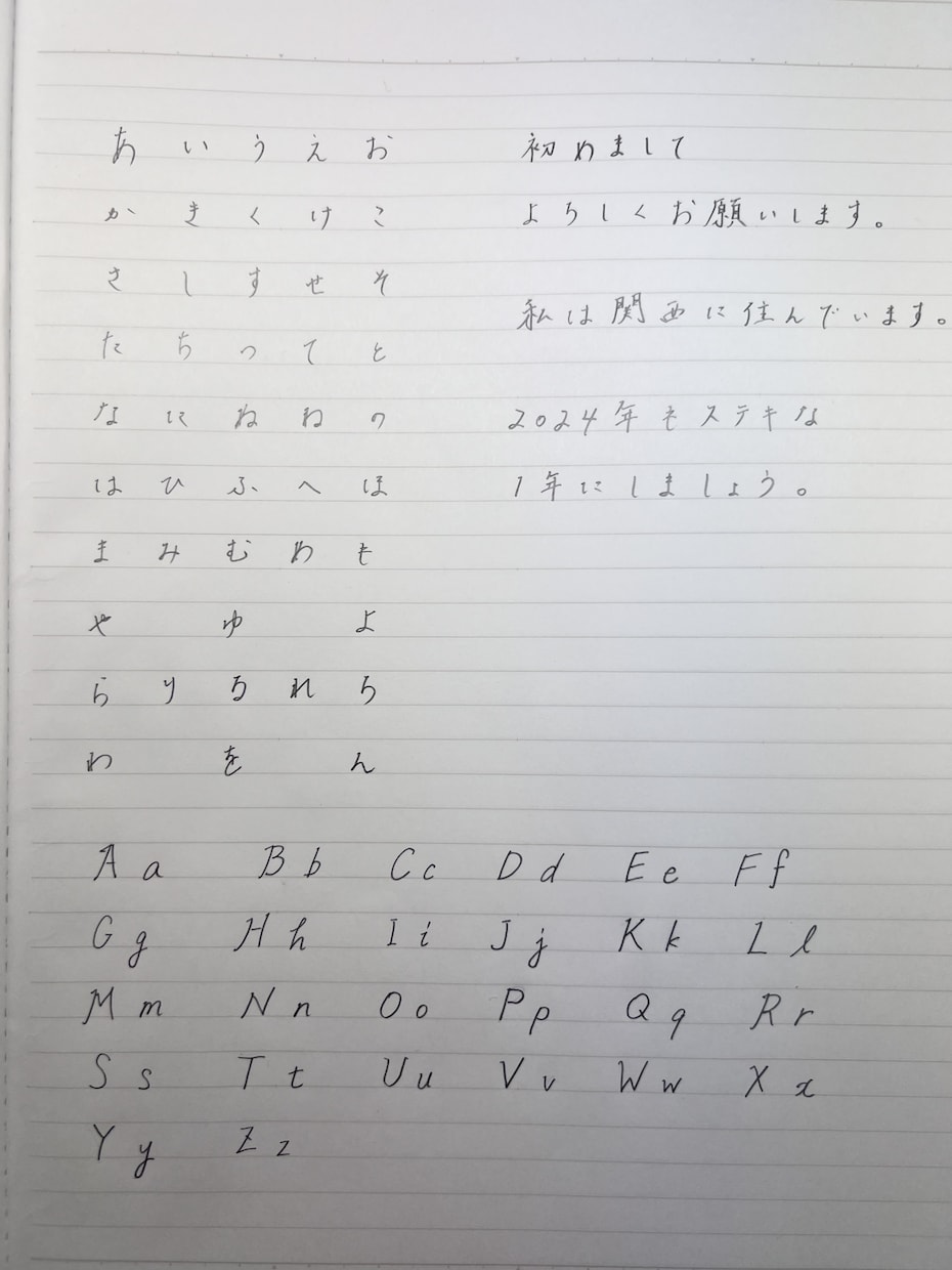 私があなたのペンになります 【文字を書くのが手間に感じるあなたに！】 イメージ2