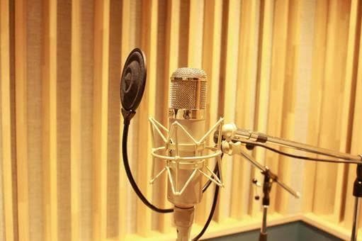 仮歌・歌入れします JPOP・ボカロ・ロックなど仮歌お手伝いします！ イメージ2