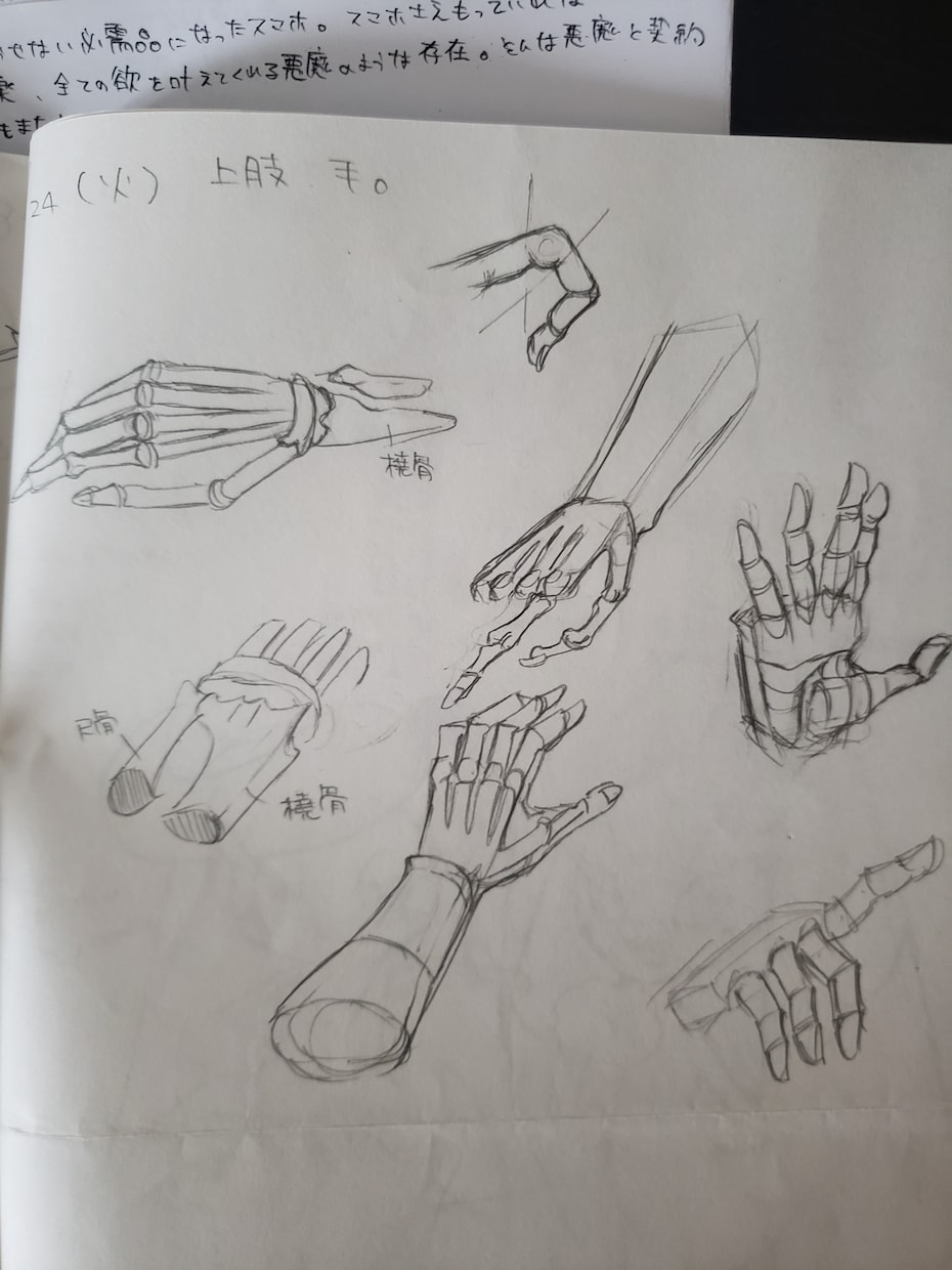 筋肉の描き方イラスト提供します 漫画家、イラストの仕事を目指してる方の手助けになりたいです！ イメージ4