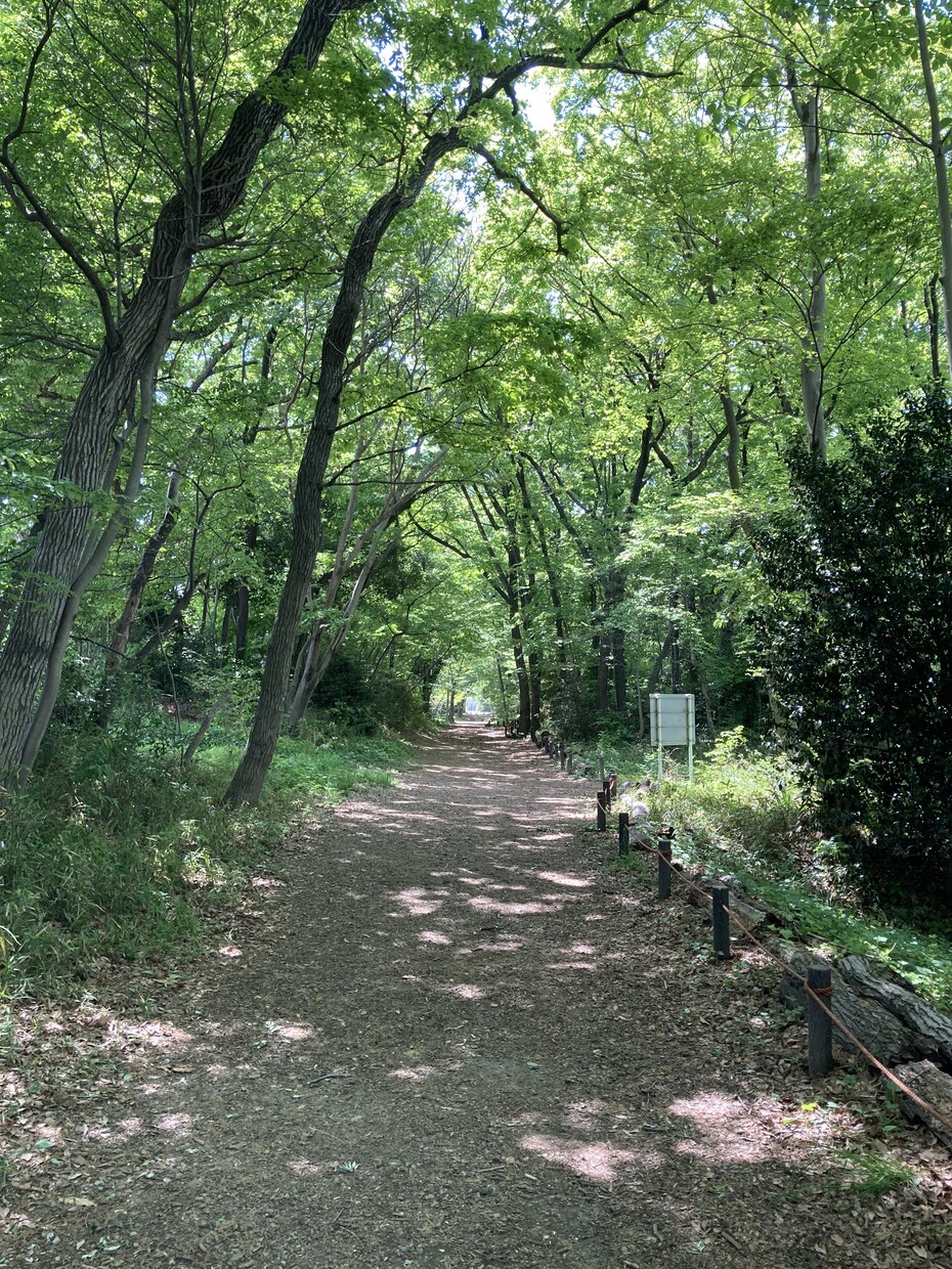 優しく聞き相手になります ～あなたの特別な聞き相手。ゆるっと話しましょう～ イメージ2