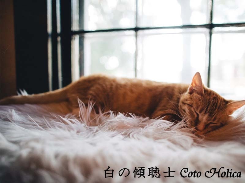 お話をぽつりぽつりとお伺いします 窓辺のソファで温かい飲み物をいただきながら イメージ2