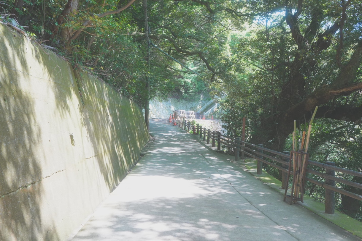 富山県（10月より神奈川）付近で出張撮影します 人物、風景どちらでも可能です！枚数制限なし イメージ4