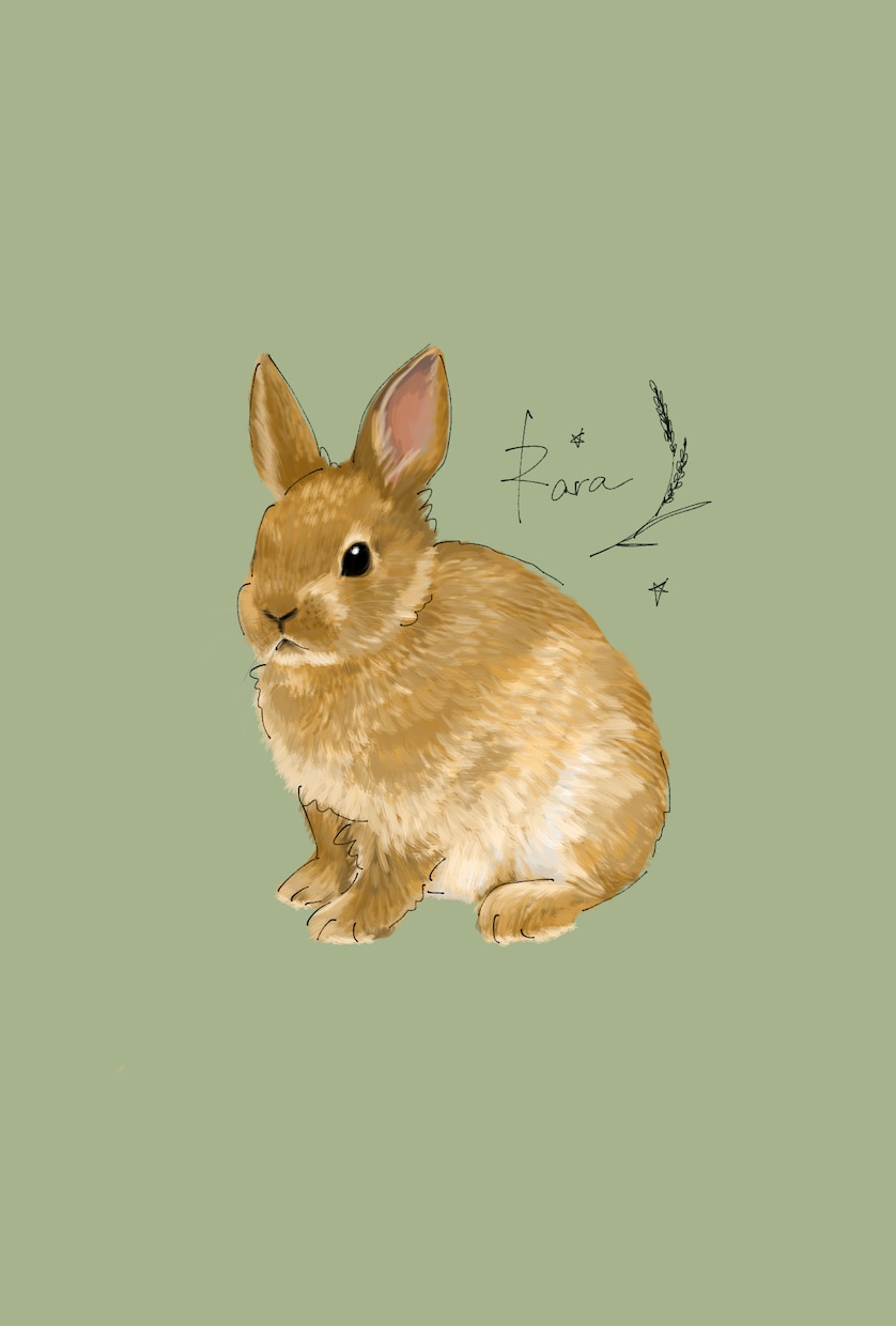 お気に入りの写真からペットのイラストを描きます リアルだけど温かみのあるデジタルイラストいかがですか？ イメージ8