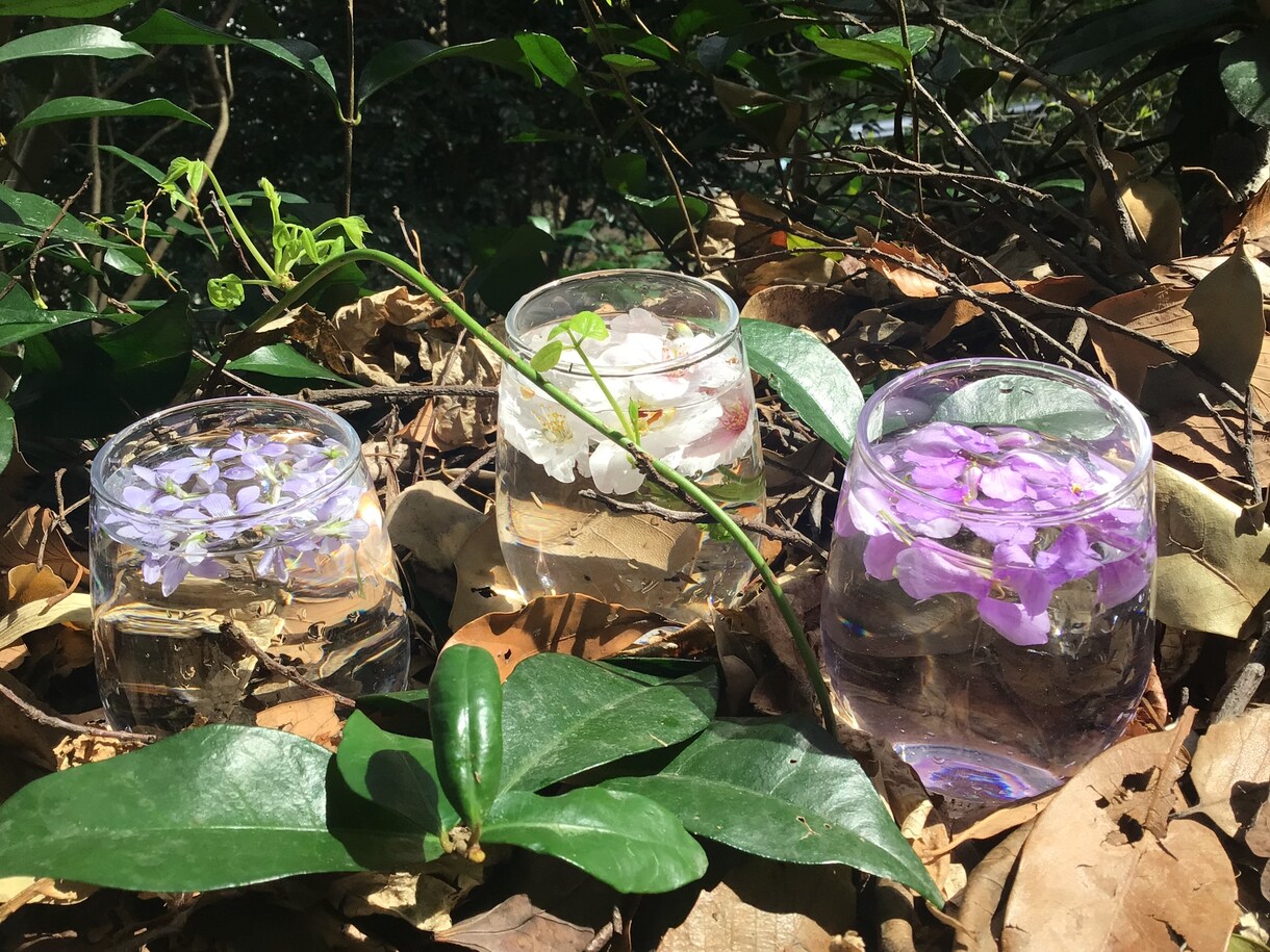 フラワーエッセンスセラピーのカウンセリング致します 可憐な野草の癒しを貴方に　悩み事ご相談下さい。 イメージ2