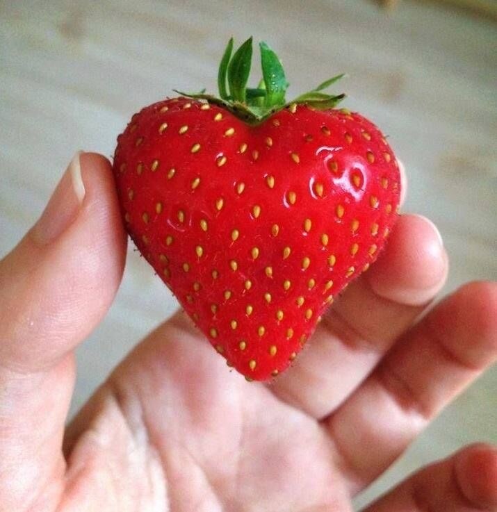 体などについてお話聞きます JKが体などのお話を聞きますよ‪‪❤︎‬‪‪❤︎‬ イメージ1