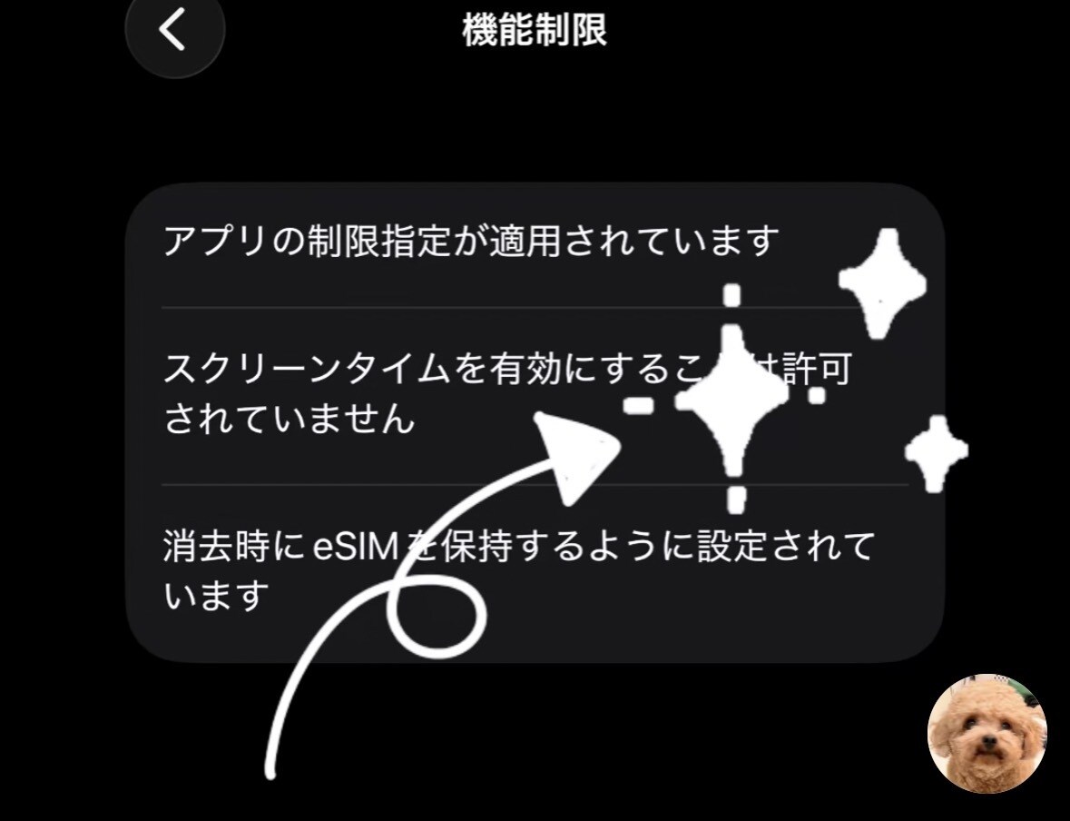 スクリーンタイム解除します 成功させます！失敗した場合全額返金します！！ イメージ1