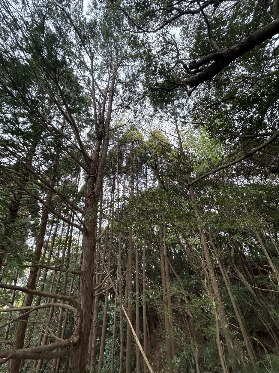 風景や少し洒落た感じの写真を提供しようと思います ･風景写真･インスタやSNS用の写真など イメージ1