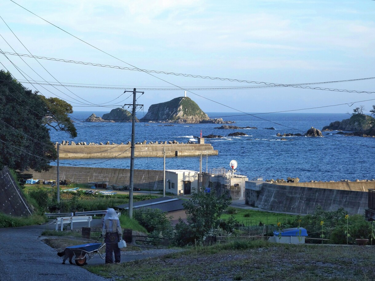 岩手県陸前高田市の動画素材提供します 『あの辺、今どうなってるんだろう』ゴープロ使用 イメージ3