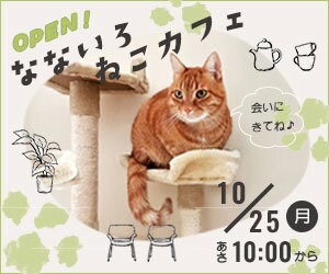 バナー・WEB画像作成します サービスの魅力、あなたの想いをしっかりと伝えます イメージ4