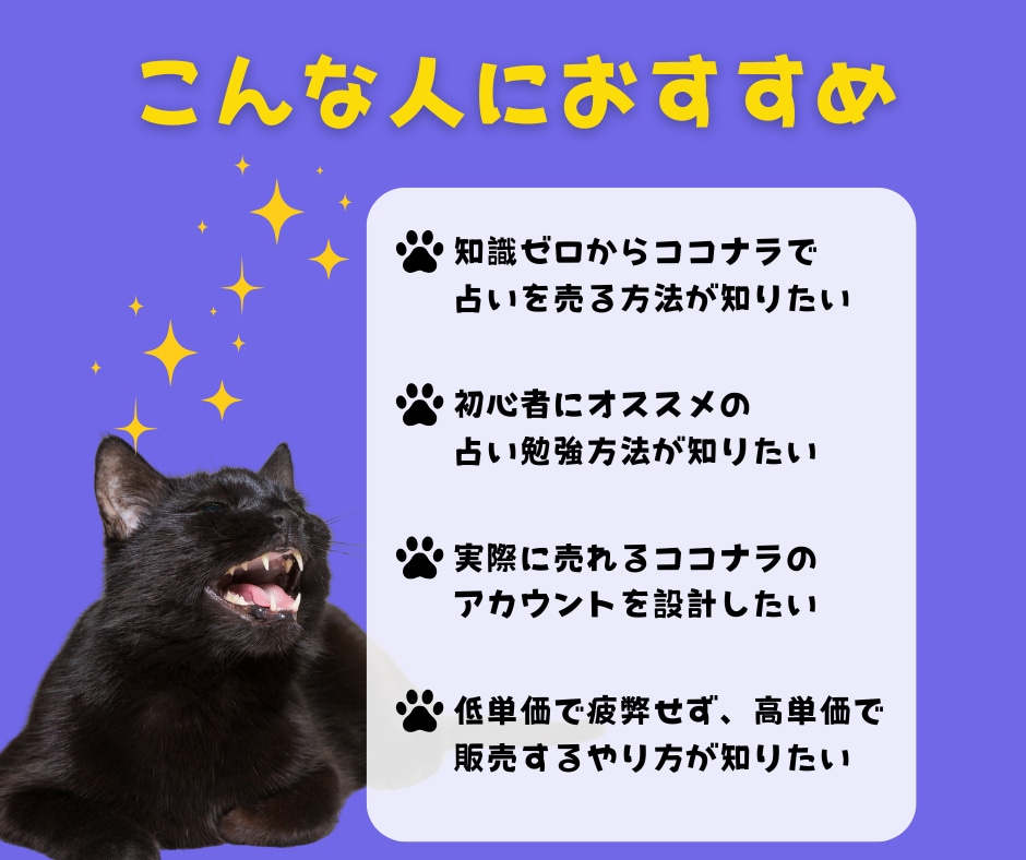 初心者でも始められるココナラ占い攻略教えます 経験、知識、実績ゼロでも「選ばれる占い師」になれる教科書 イメージ5