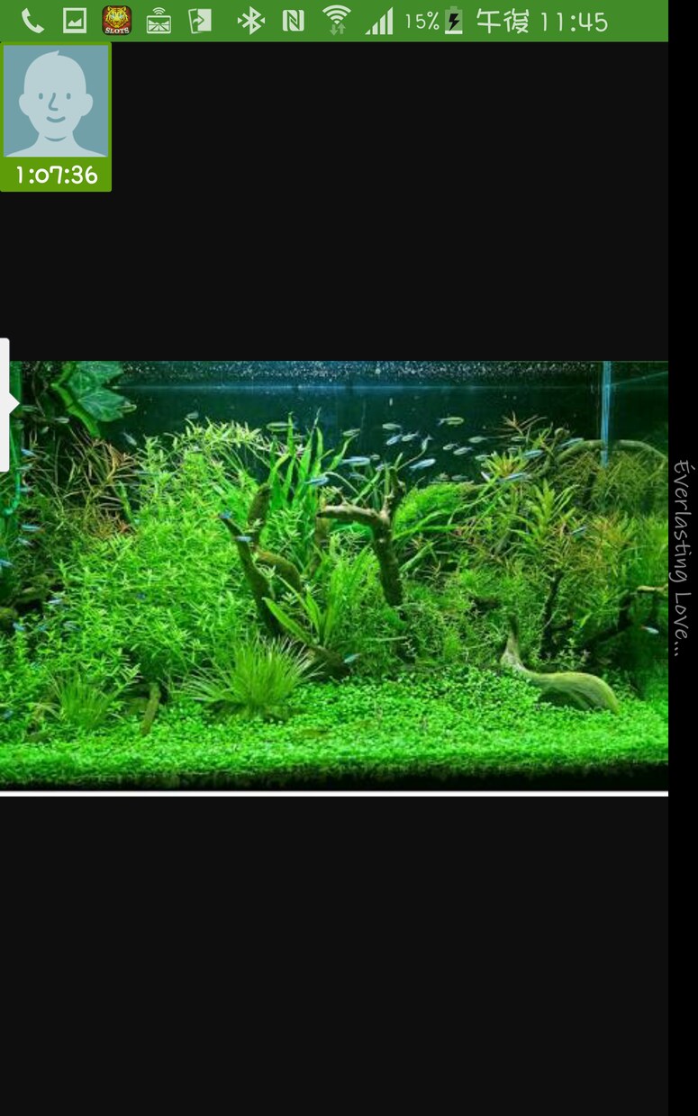 熱帯魚や水草の育てかた教えます 初心者の方でも簡単に丁寧におしえます。 イメージ1