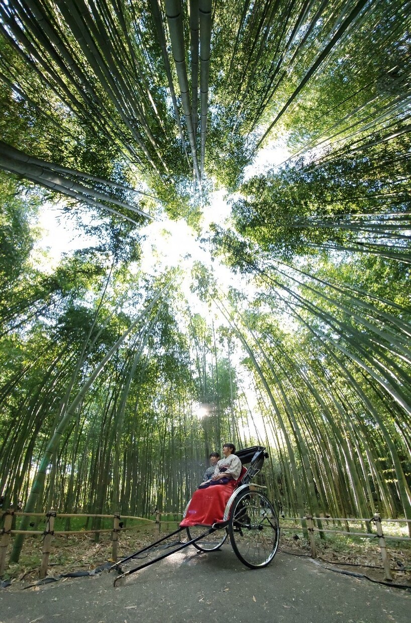 なんでも聞きます 愚痴、悩み、相談、世間話、なんでもいいですよ イメージ2