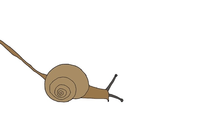 流行りのイラストを描きます 色を塗って消すと細かく絵の書かれた動画を作ります。 イメージ5