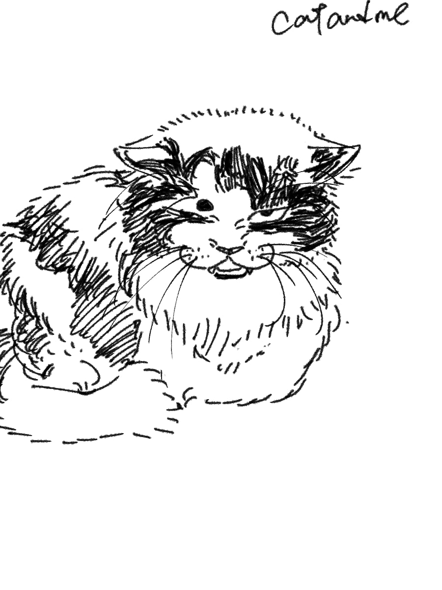 あなたの愛おしい愛猫をゆるく描きます ゆるくて愛しい猫イラストの作成 イメージ2