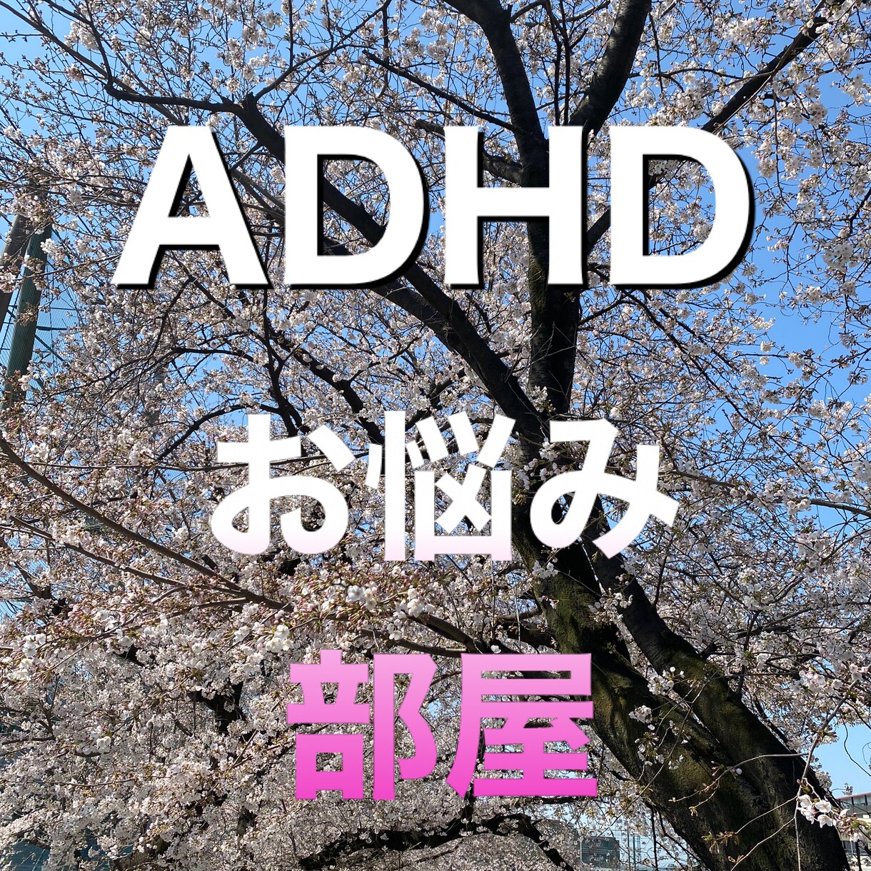 ADHDの育児の疑問についてお話し聞きます 療育児童施設運営代表がお子様の成長をお手伝いします イメージ1
