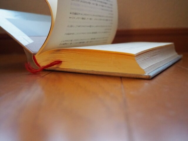 小説への大ボリューム感想書きます あなたのオリジナル小説、読ませてください！ イメージ1