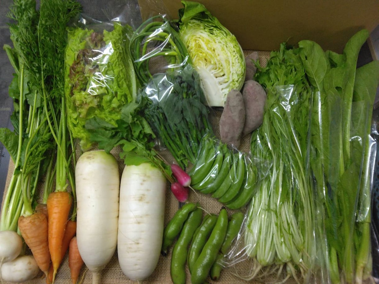 通年自然栽培の野菜を販売している農家が教えます 子育て自然栽培農家が土を見ながら自然栽培の悩みを解決 イメージ2