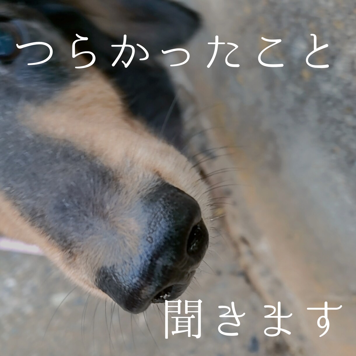 双極性障害の当事者があなたの話を聞きます メンタル疾患当事者同士にしかわからないつらさありますよね イメージ1